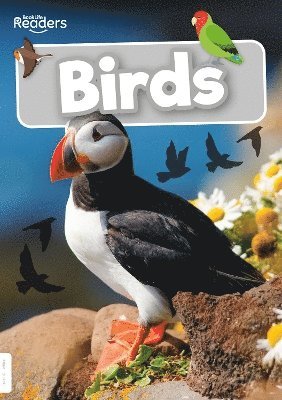 Birds 1