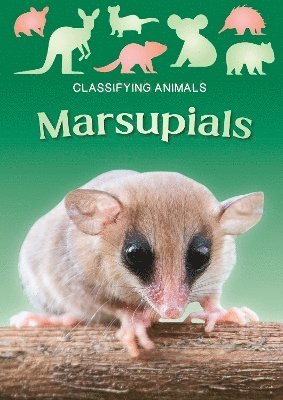 Marsupials 1