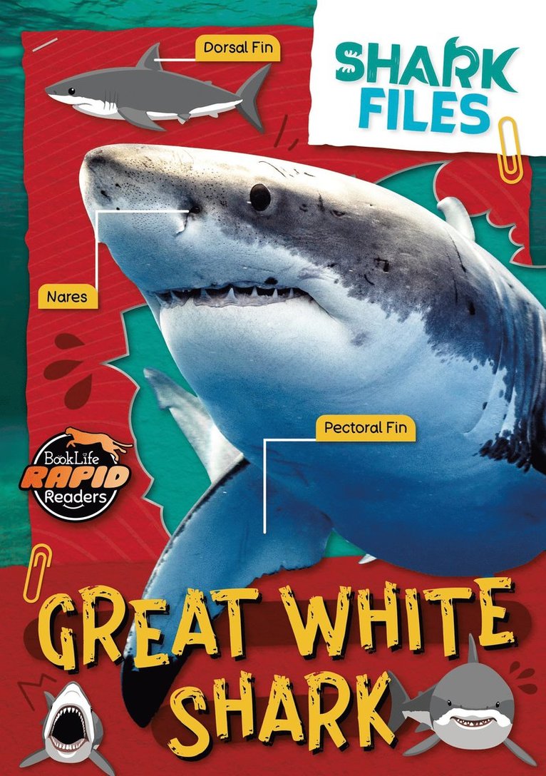 Robin Twiddy - Great White Shark, Häftad