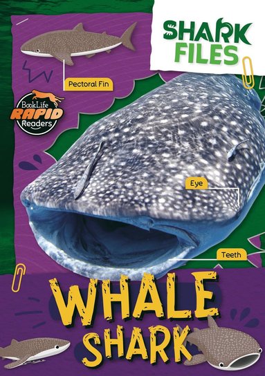 bokomslag Whale Shark