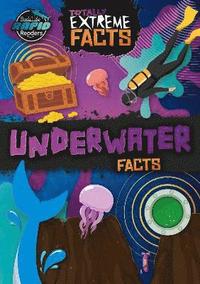 bokomslag Underwater Facts