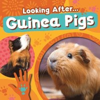 bokomslag Guinea Pigs