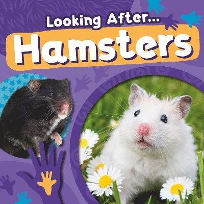 Hamsters 1