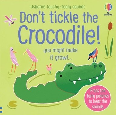bokomslag Don't Tickle the Crocodile!