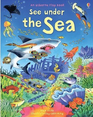 Kate Davies - See Under the Sea, Kartonnage