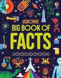 bokomslag Big Book of Facts