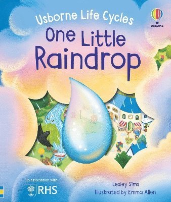 One Little Raindrop 1