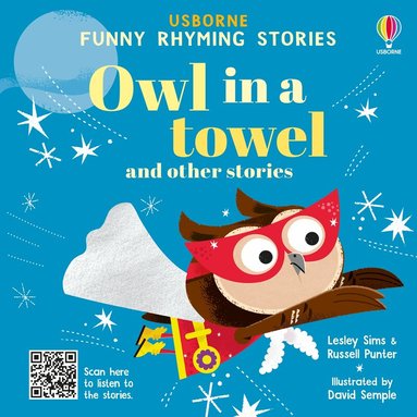 Lesley Sims, Russell Punter - Owl in a towel and other stories, Inbunden