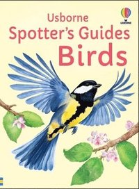 bokomslag Spotter's Guides: Birds