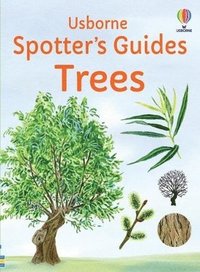 bokomslag Spotter's Guides: Trees