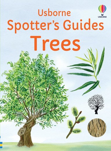 Sarah Russell - Spotter's Guides: Trees, Häftad