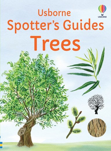 bokomslag Spotter's Guides: Trees