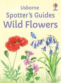 bokomslag Spotter's Guides: Wild Flowers