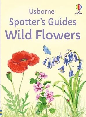 Spotter's Guides: Wild Flowers 1