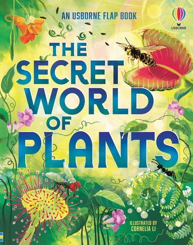 Megan Cullis - The Secret World of Plants, Kartonnage