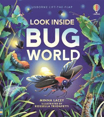 Look Inside Bug World 1