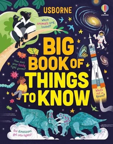 bokomslag Big Book of Things to Know