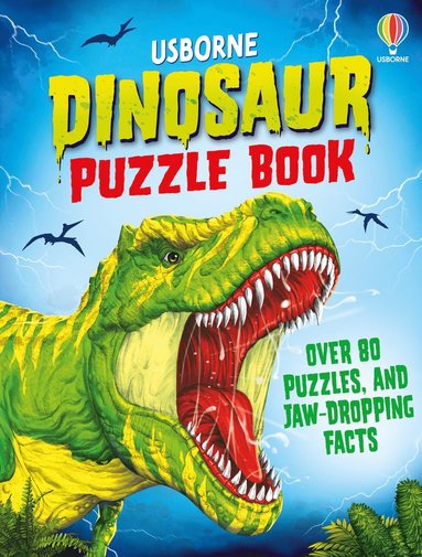 bokomslag Dinosaur Puzzle Book