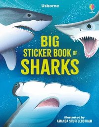 bokomslag Big Sticker Book of Sharks