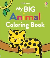 bokomslag My Big Animal Coloring Book