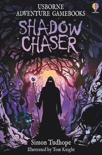 bokomslag Shadow Chaser