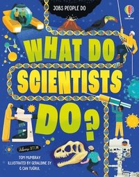 bokomslag What Do Scientists Do?