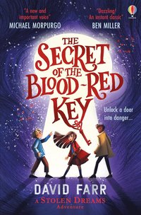 bokomslag Book of Stolen Dreams: The Secret Key