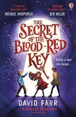 bokomslag The Secret of the Blood-Red Key