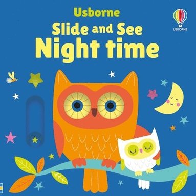 bokomslag Slide and See Night Time