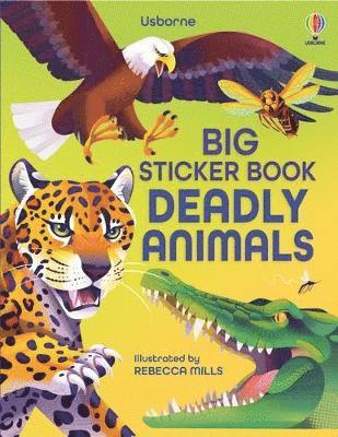 bokomslag Big Sticker Book Deadly Animals
