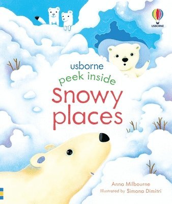 bokomslag Peek Inside Snowy Places