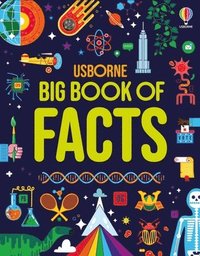bokomslag Big Book of Facts