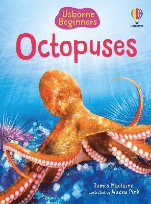 bokomslag Beginners Octopuses