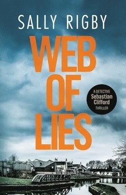 bokomslag Web of Lies