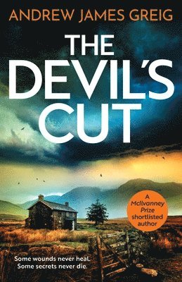bokomslag The Devil's Cut