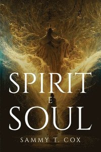 bokomslag Spirit e Soul