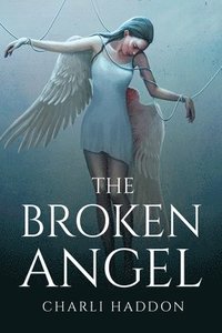 bokomslag The broken angel