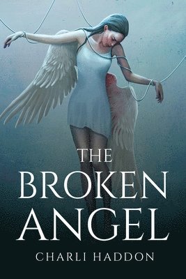 The broken angel 1