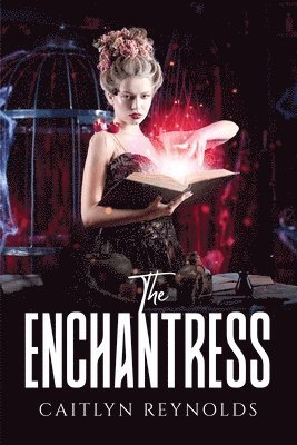 bokomslag The Enchantress