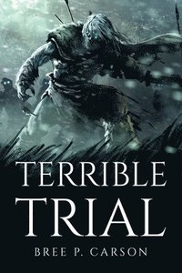 bokomslag Terrible Trial