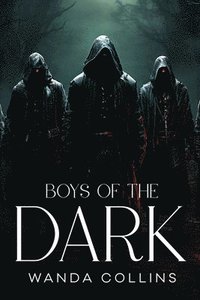 bokomslag Boys of the Dark