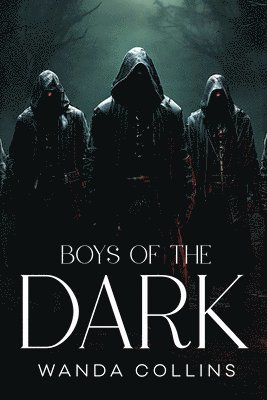 bokomslag Boys of the Dark