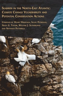 bokomslag Seabirds in the North-East Atlantic
