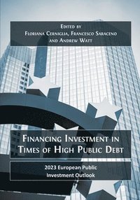 bokomslag Financing Investment in Times of High Public Debt