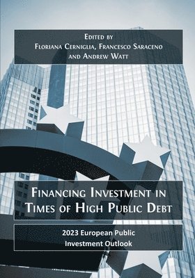 bokomslag Financing Investment in Times of High Public Debt