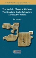 bokomslag The Verb in Classical Hebrew: The Linguistic Reality behind the Consecutive Tenses