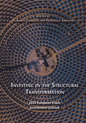 bokomslag Investing in the Structural Transformation