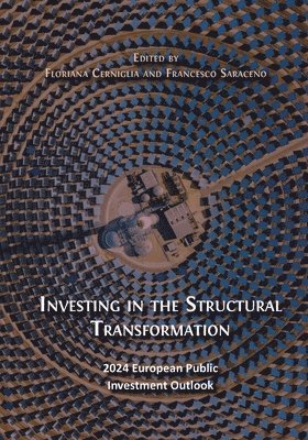 bokomslag Investing in the Structural Transformation: 2024 European Public Investment Outlook