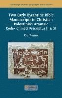 bokomslag Two Early Byzantine Bible Manuscripts in Christian Palestinian Aramaic