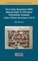 bokomslag Two Early Byzantine Bible Manuscripts in Christian Palestinian Aramaic: Codex Climaci Rescriptus II & XI